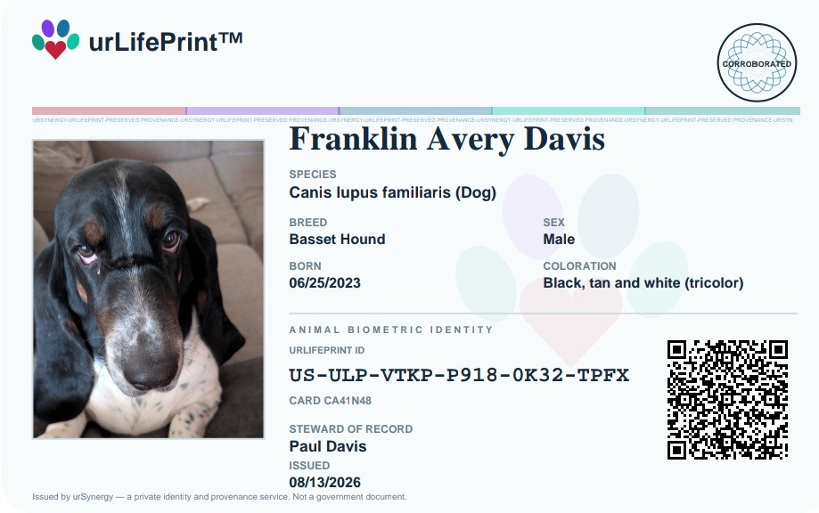 urLifePrint ID card front: portrait photo, species, breed, sex, coloration, urLifePrint ID number, steward of record, verification QR and assurance seal