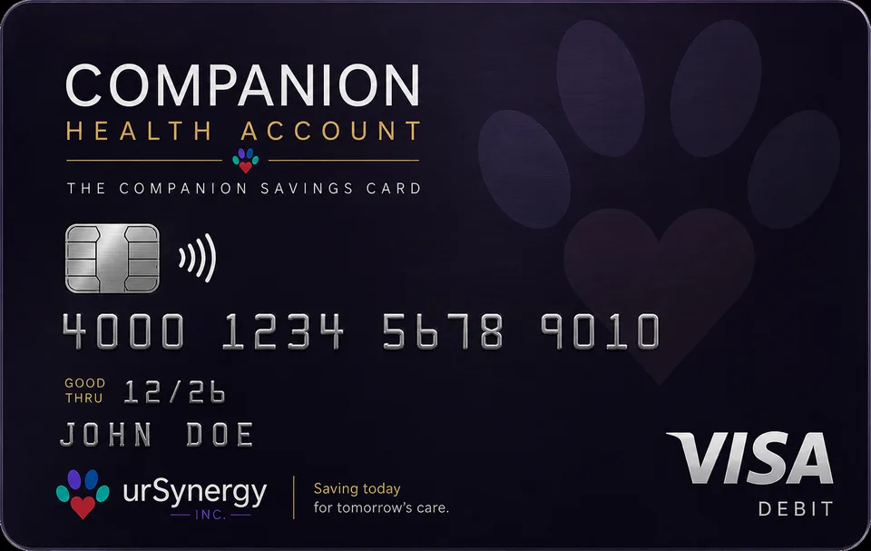 Illustration of a possible Companion Health Account card. Concept artwork with sample details — not a real card, and not available.