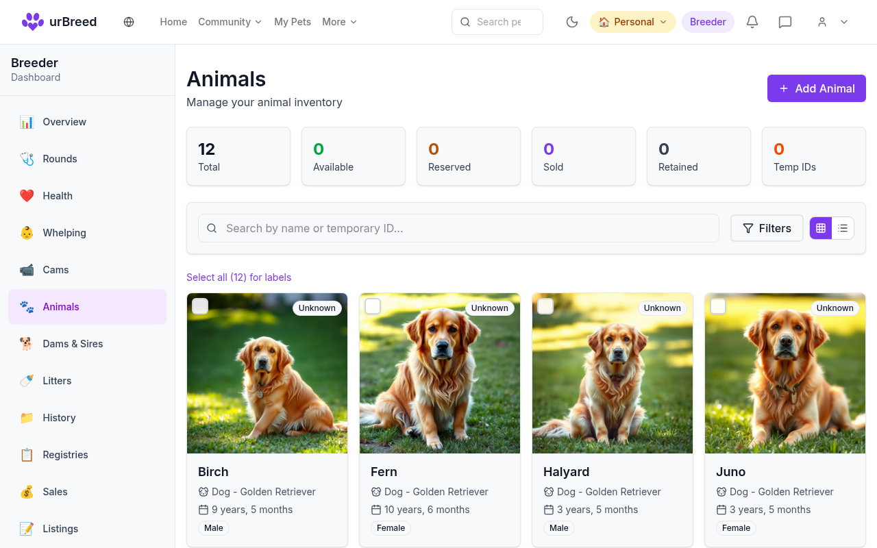 The urBreed Animals view for a Golden Retriever program: twelve dogs shown as photo cards with name, breed, age and sex, above counts of total, available, reserved, sold and retained animals