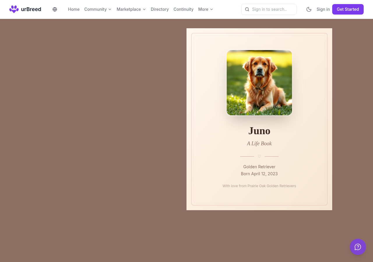 The cover of a go-home book opened from a share link without signing in: a photograph of a Golden Retriever named Juno, the words A Life Book, her breed, her birth date, and With love from Prairie Oak Golden Retrievers